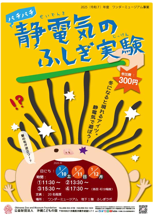 ［1/10-1/12］パチパチ静電気のふしぎ実験2026＠沖縄こどもの国ワンダーミュージアム