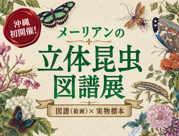 ［10/3-3/15］メーリアンの立体昆虫図譜展2026-2027｜図譜（絵画）x実物標本＠東南植物楽園
