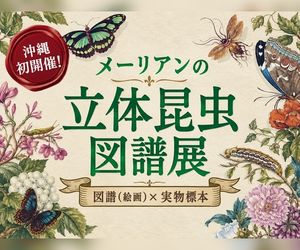 ［10/3-3/15］沖縄初開催！メーリアンの立体昆虫図譜展＠東南植物楽園