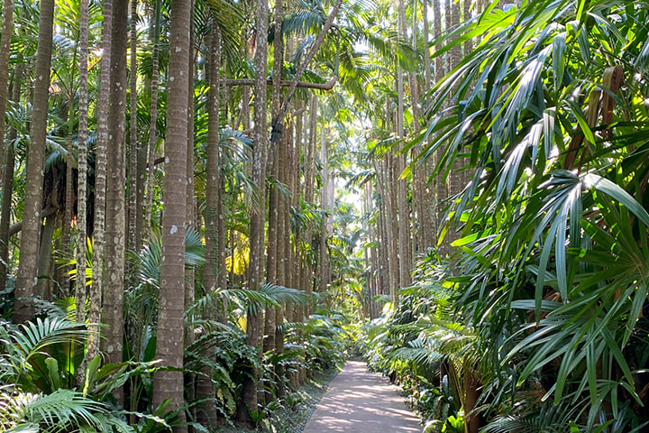 東南植物楽園 美らヤシパークオキナワ
